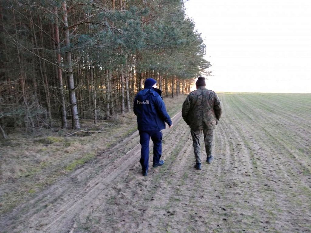 straż leśna, kradzież jodłowych gałązek, stroisz, Edyta Nowicka, RDLP w Radomiu