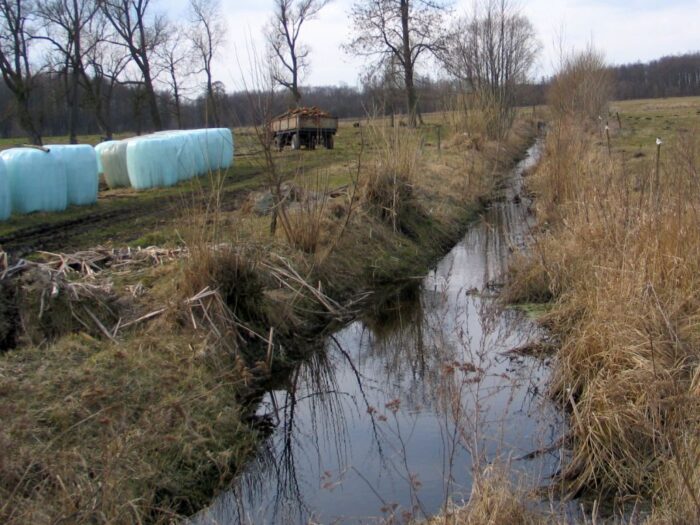 melioracja, wody polskie, urządzenia melioracyjne, system nawodnień grawitacyjnych