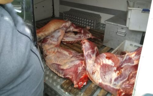 IJHAR-S, kontrola jakości mięsa, zawartość wody w mięsie