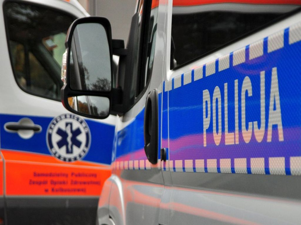 granat w rozalinie, niewybuchy, granaty w lesie