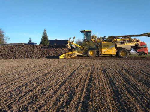 Sahryń, doczyszczarko-ładowarka, buraki, pole