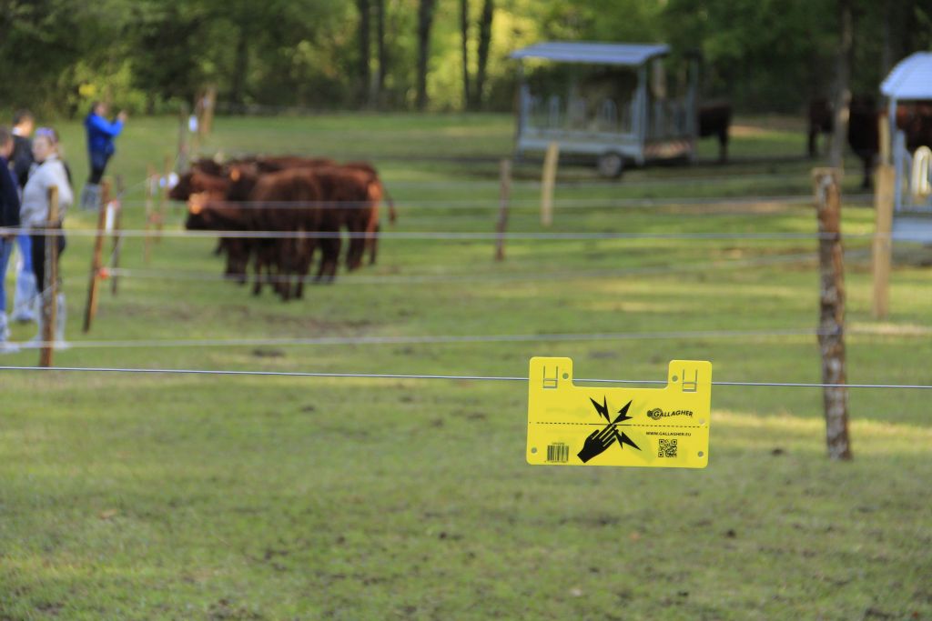 puszcza bukowa, szczecin, pastuch elektryczny, koło łowieckie, Artur Giza-Zwierzchowski