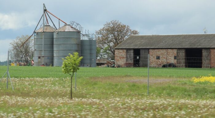 uprawa konopi, rolnictwo, kombinat konopny, Uprawa konopi w Polsce