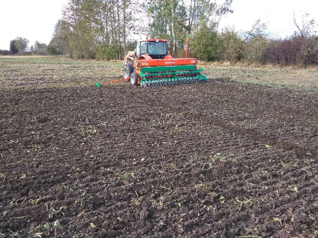 ciągnik, siewnik, pole, siew, Sahryń