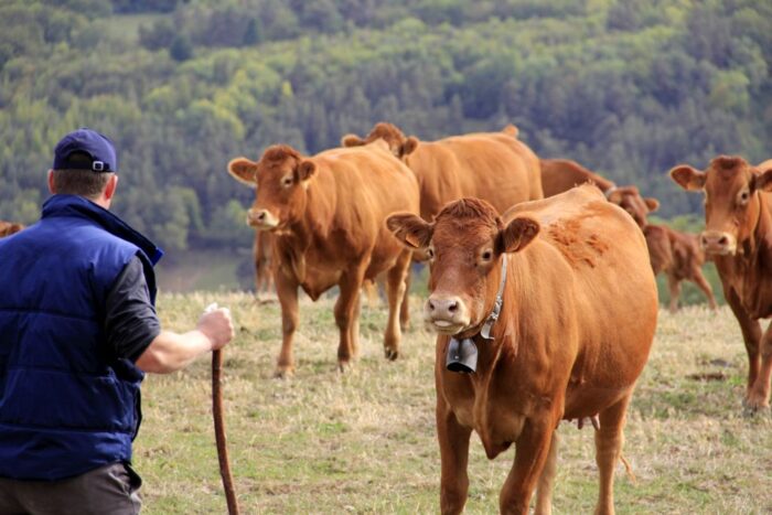 Janusz Rowiński, Towarzystwo Ekonomistów Polskich, gospodarstwa rolne, przetwórstwo