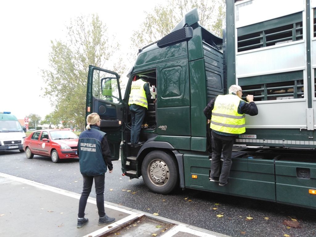Najwyższa Izba Kontroli, NIK, ubój gospodarczy, przewóz i transport żywych zwierząt