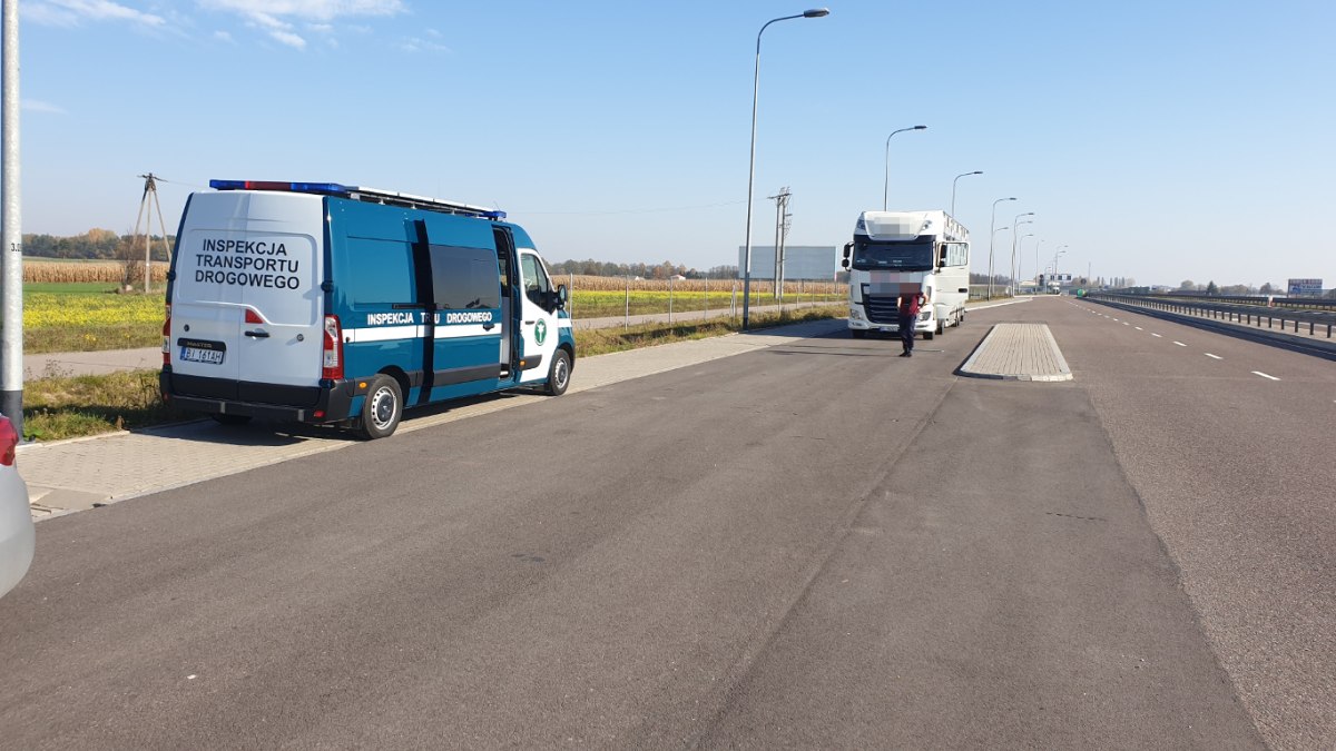 Zwierzęta hodowlane, transport zwierząt, Compassion in World Farming , europarlament