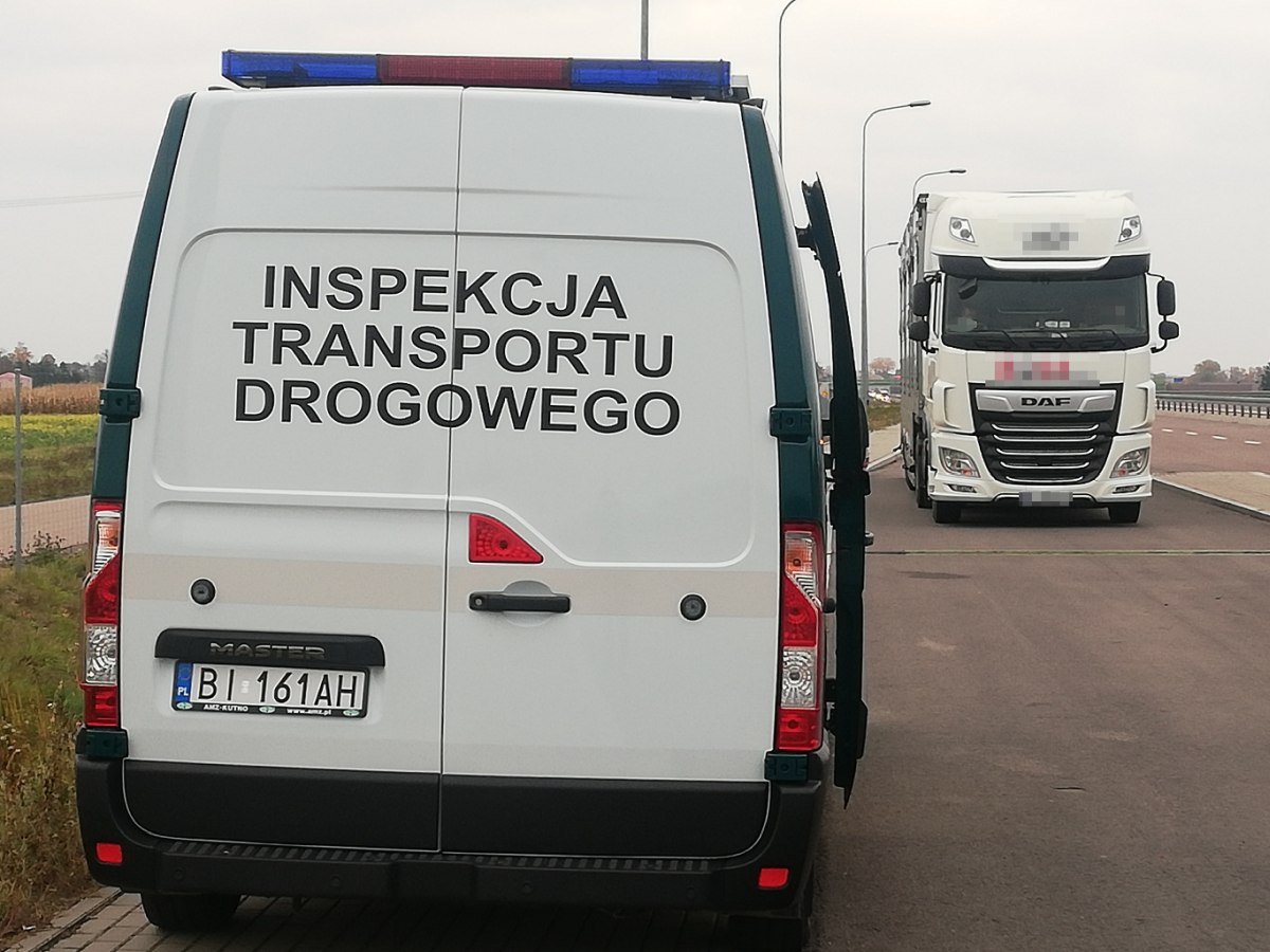 Zwierzęta hodowlane, transport zwierząt, Compassion in World Farming , europarlament