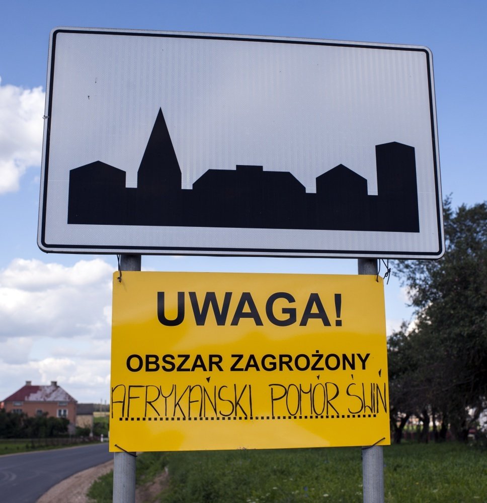 asf_pomor