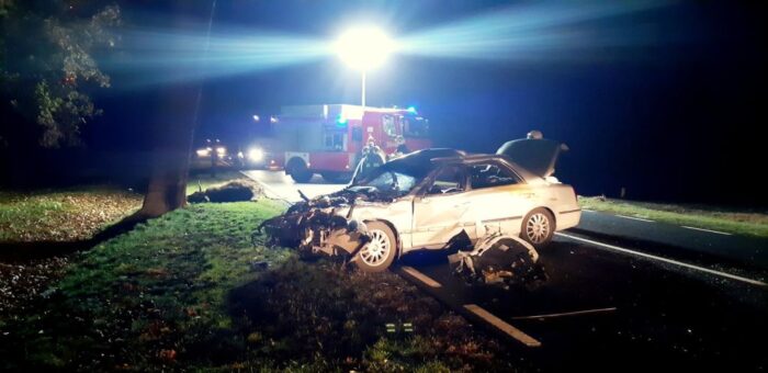 brazylia, ekport mięsa, wołowina, drób