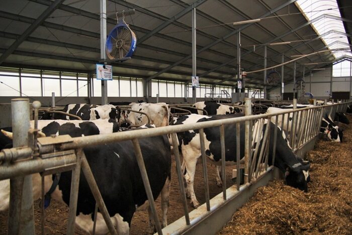 System Wetinfo, elektroniczna książka leczenia zwierząt, główny lekarz weterynarii, Bogdan Konopka