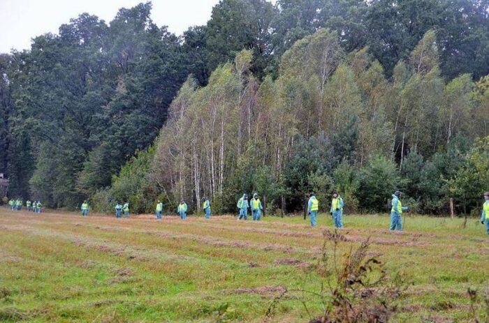 asf w lubuskiem, Tarnów Jezierny, powiat wschowski, szukanie martwych dzików