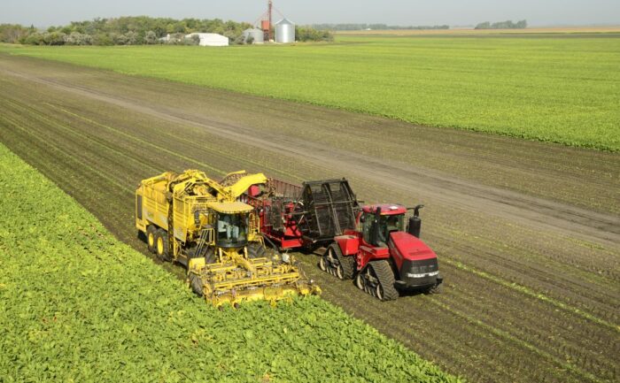 ziemia, rolnictwo, duże gospodarstwa rolne, EKMA 2019