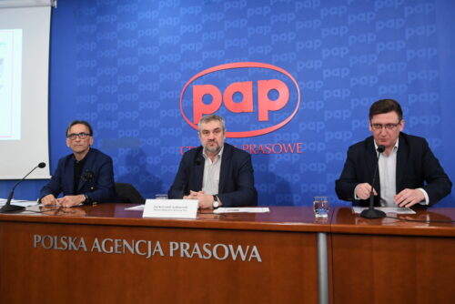 aukcja "Winter Star Horse Auction