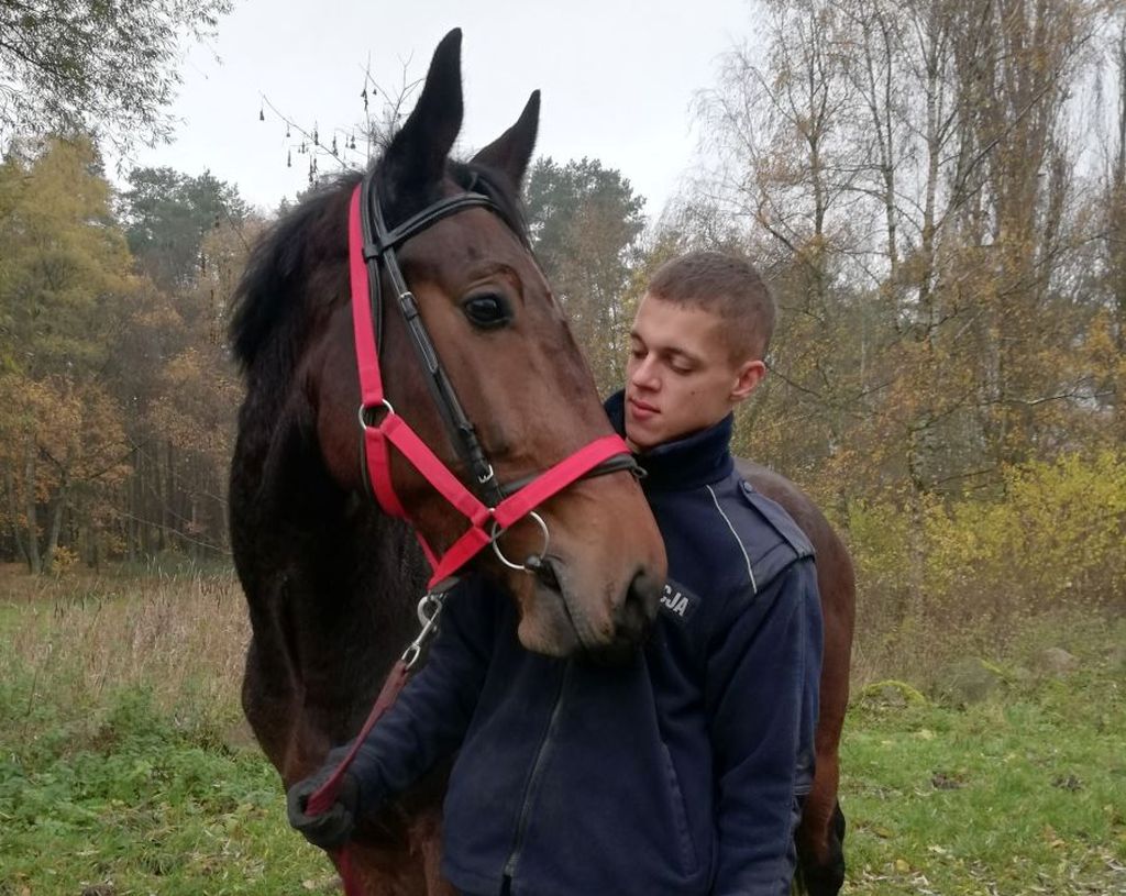 konie dla policji, Agnieszka Kacprzak, kwp w szczecinie, Kontusz, Golden Dream