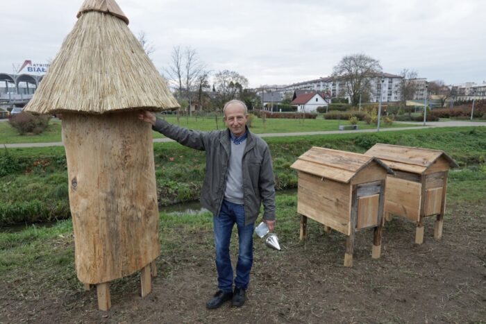 pasieka, ule, pszczoły