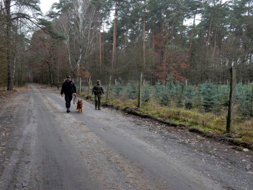 walka z asf w polsce, dolnośląska izba rolnicza, budowa płotu na granicy województw