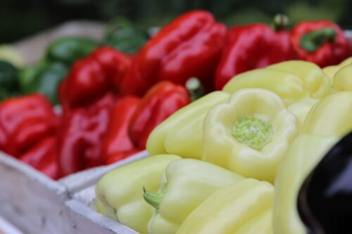 AgriTech Hub, start-upy w branży rolno-spożywczej, marcion woźniak, innowacje w rolnictwie