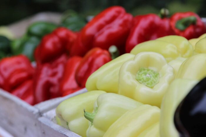 AgriTech Hub, start-upy w branży rolno-spożywczej, marcion woźniak, innowacje w rolnictwie