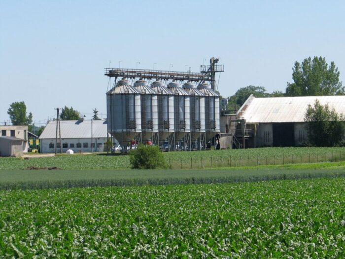 rolnictwo, budżet rolny, dotacje, ue