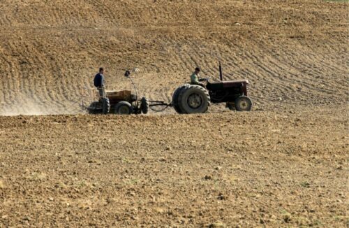 kwalifikowany materiał siewny, rośliny motylkowe, Agro Pomerania, koszalin