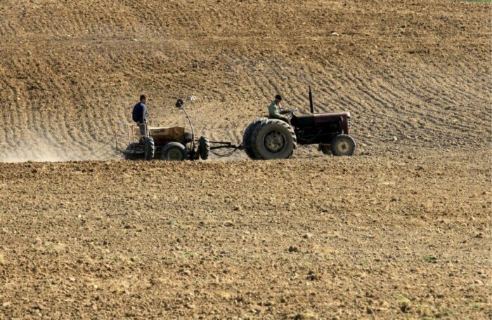 kwalifikowany materiał siewny, rośliny motylkowe, Agro Pomerania, koszalin