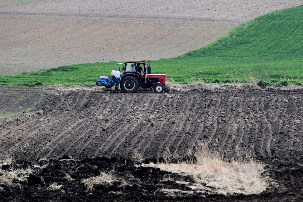 susza rolnicza, pomoc suszowa, komisje szacujące straty, jan krzysztof ardanowski