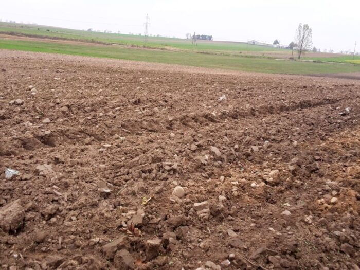 nieruchomości rolne, gus, nieruchomości gruntowe niezabudowane