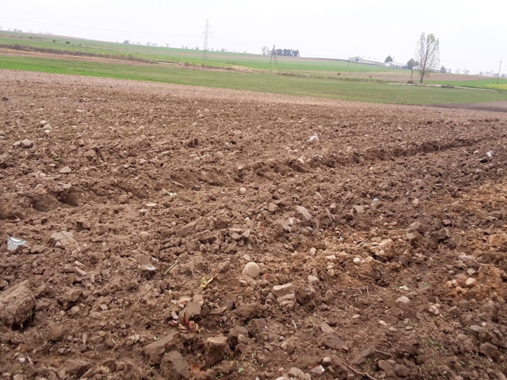 nieruchomości rolne, gus, nieruchomości gruntowe niezabudowane
