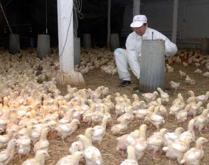 inwestycje w gospodarstwach, ochrona wód przed zanieczyszczeniem azotanami, wsparcie dla rolnictwa