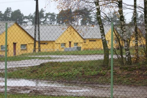 Goodvalley, zasady bioasekuracji, ASF, afrykański pomór świń, trzoda chlewna, padłe dziki, muchy, maty dezynfekcyjne