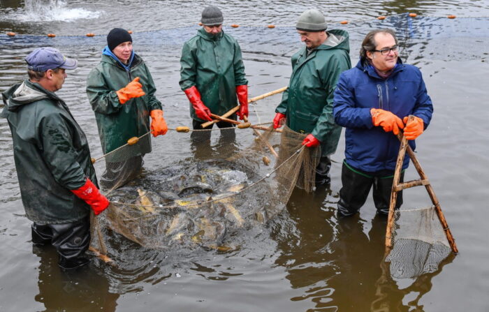 hodowla ryb, susza, pieniądze, de minimis