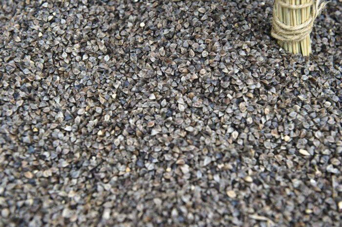 kasza gryczana, rosja, repubika tuwy, Żydowski Obwód Autonomiczny