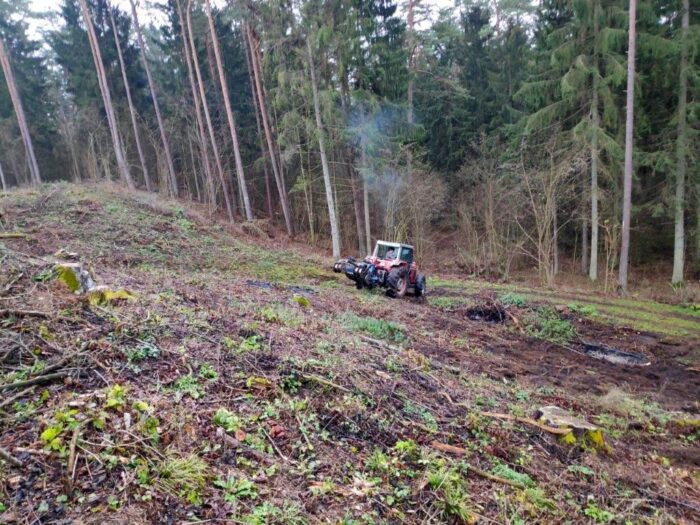 Nadlesnictwo Szczebra, leśnictwie Młynisko, niewybuch w lesie, patrol saperski z Chełma