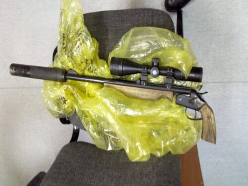 kłusownictwo, myśliwi, Państwowa Straż Łowiecka, nielegalne posiadanie broni