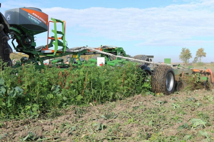 Polon z mieszanki nfixx