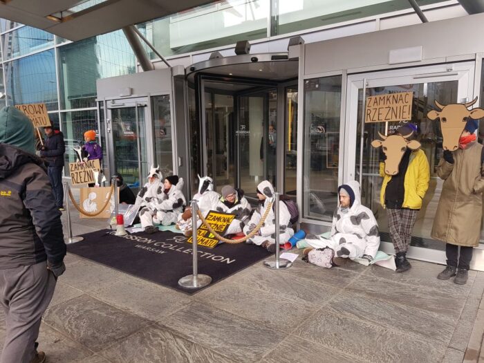 6. Forum Sektora Wołowin, obrońcy praw zwierząt, Animal Rebellion, bydło mięsne, hodowcy bydła, hodowcy bydła, wołowina