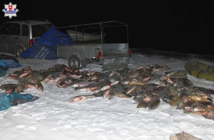 kłusownictwo, Nawóz, powiat zamojski, Dorota Krukowska-Bubiło, polski związek wędkarski