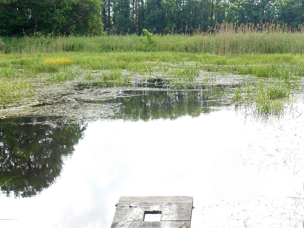 chów i hodowla ryb słodkowodnych, stawy rybne, wsparcie dla rolników, susza, powódź