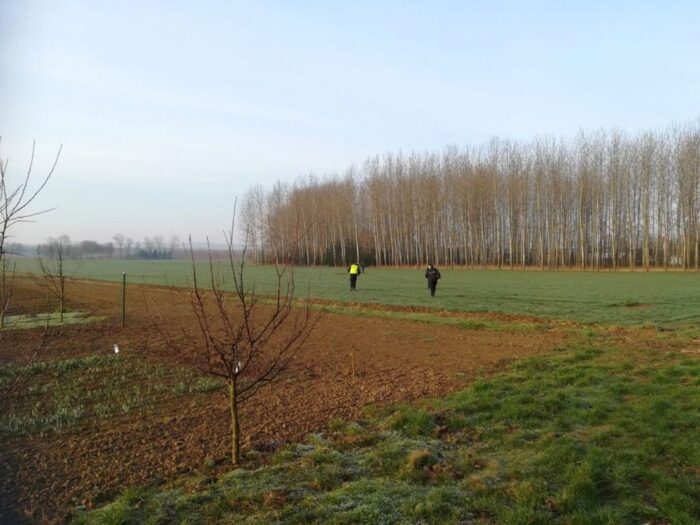 jarocin, wielkopolska, oszust, baloty słomy, sprzedaż balotów, policja