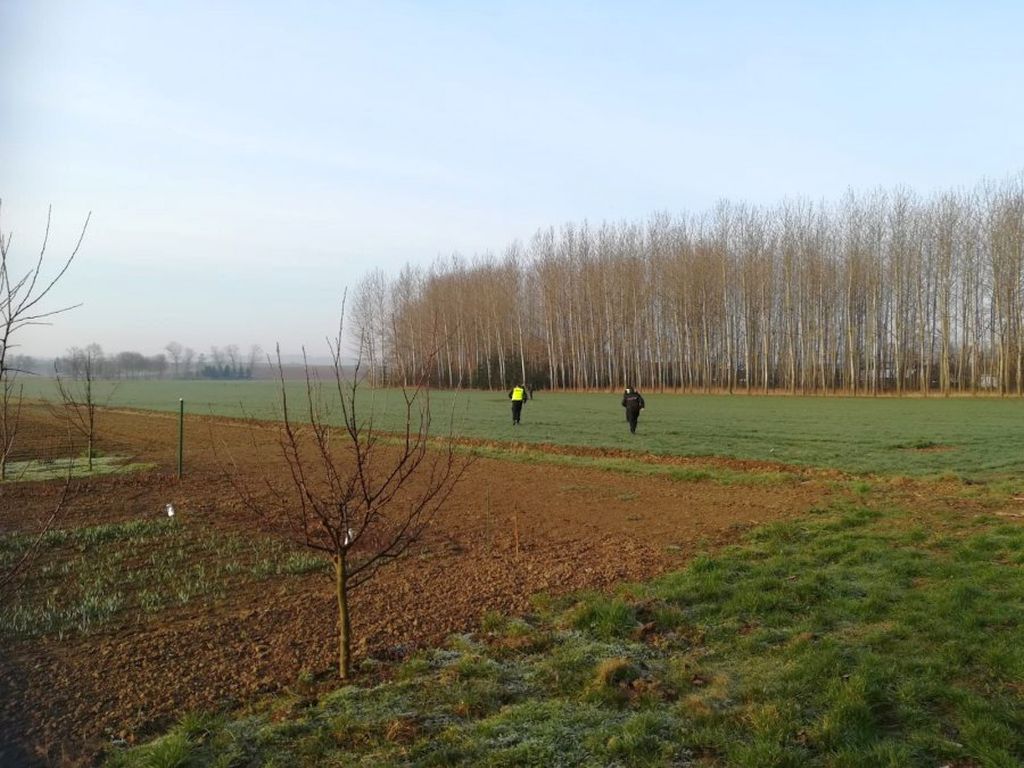 jarocin, wielkopolska, oszust, baloty słomy, sprzedaż balotów, policja