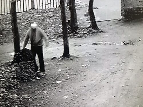 szczątki dzika na śmietniku, jarocin, walka z asf w polsce, urząd miejski w jarocinie