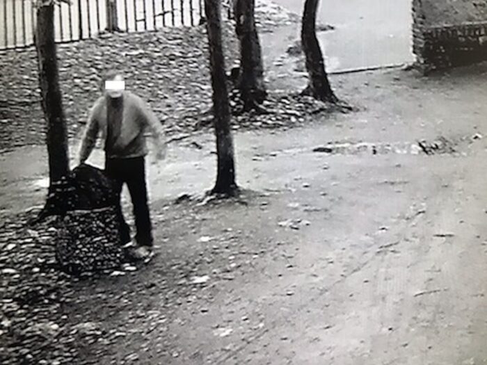 szczątki dzika na śmietniku, jarocin, walka z asf w polsce, urząd miejski w jarocinie