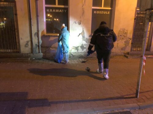 martwe gołębie, grypa ptaków, góra kalwaria, powiat piaseczyński