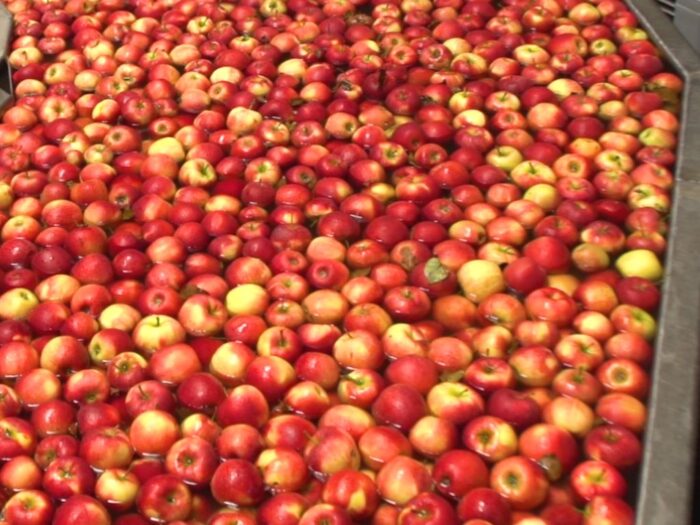 podatek cukrowy, Andrzej Gantner, PFPŻ-ZP, ceny napojów