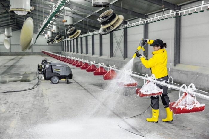 grypa ptaków, drób, wirus grypy ptaków h5n8, dzikie ptactwo, dzikie kaczki, Kaercher