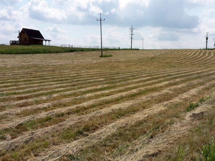 gospodarka przestrzenna, Małgorzata Jarosińska-Jedynak, ministerstwo funduszy i polityki regionalnej