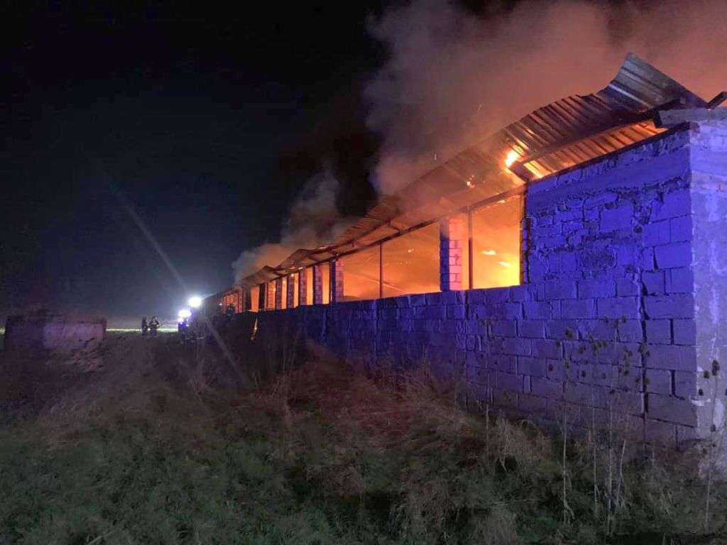pożar, pożar kurnika, lubuskie, pożar we wsi Wieprzyce