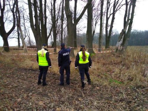 szczątki zwierząt na polu, kozy, KMP w gliwicach, ustawa o ochronie zdrowia oraz zwalczania chorób zakaźnych zwierząt