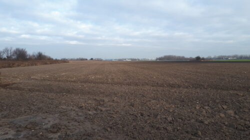 pole, gleba, drzewa, Cargo